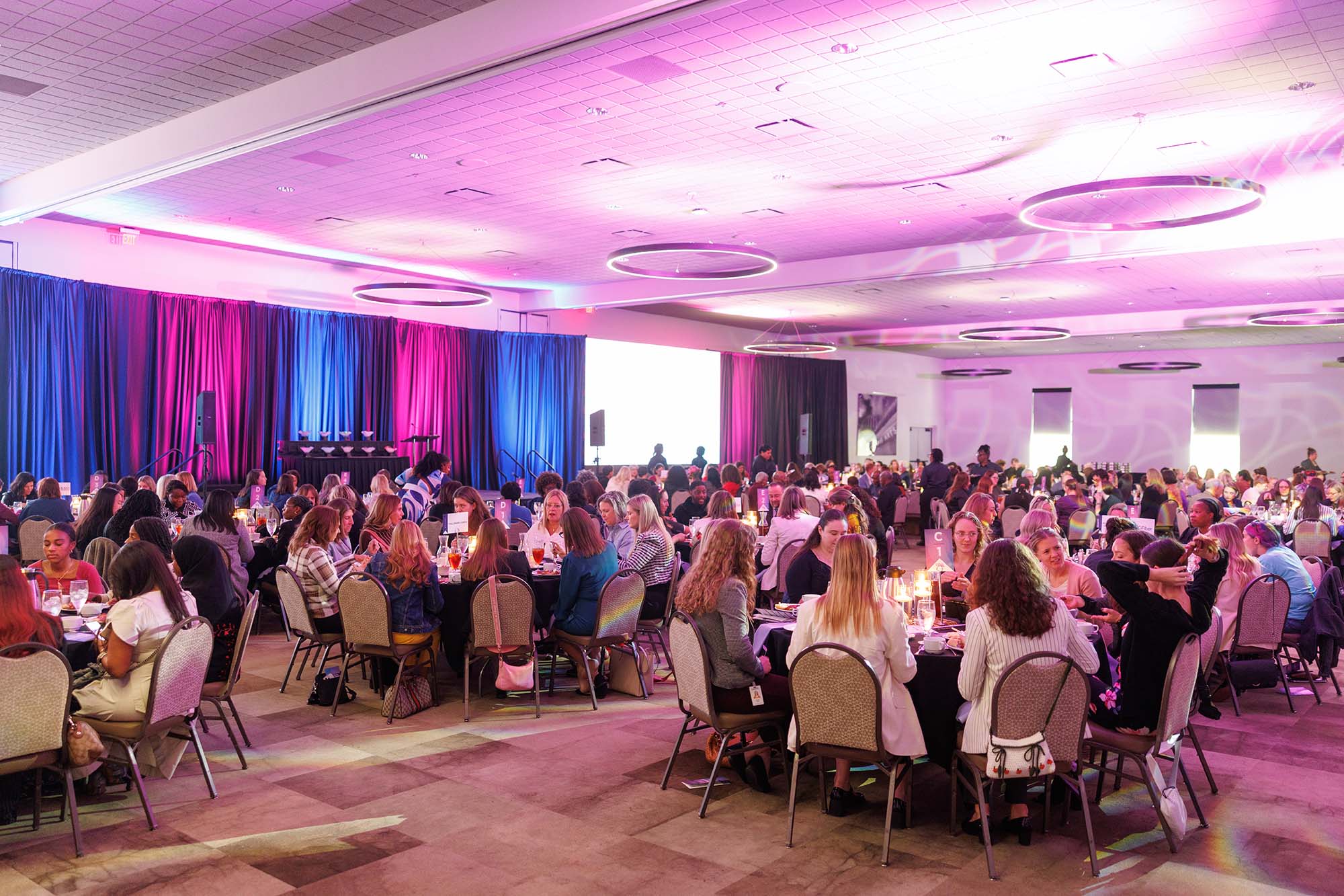 0033-2025-STEMMy-Awards