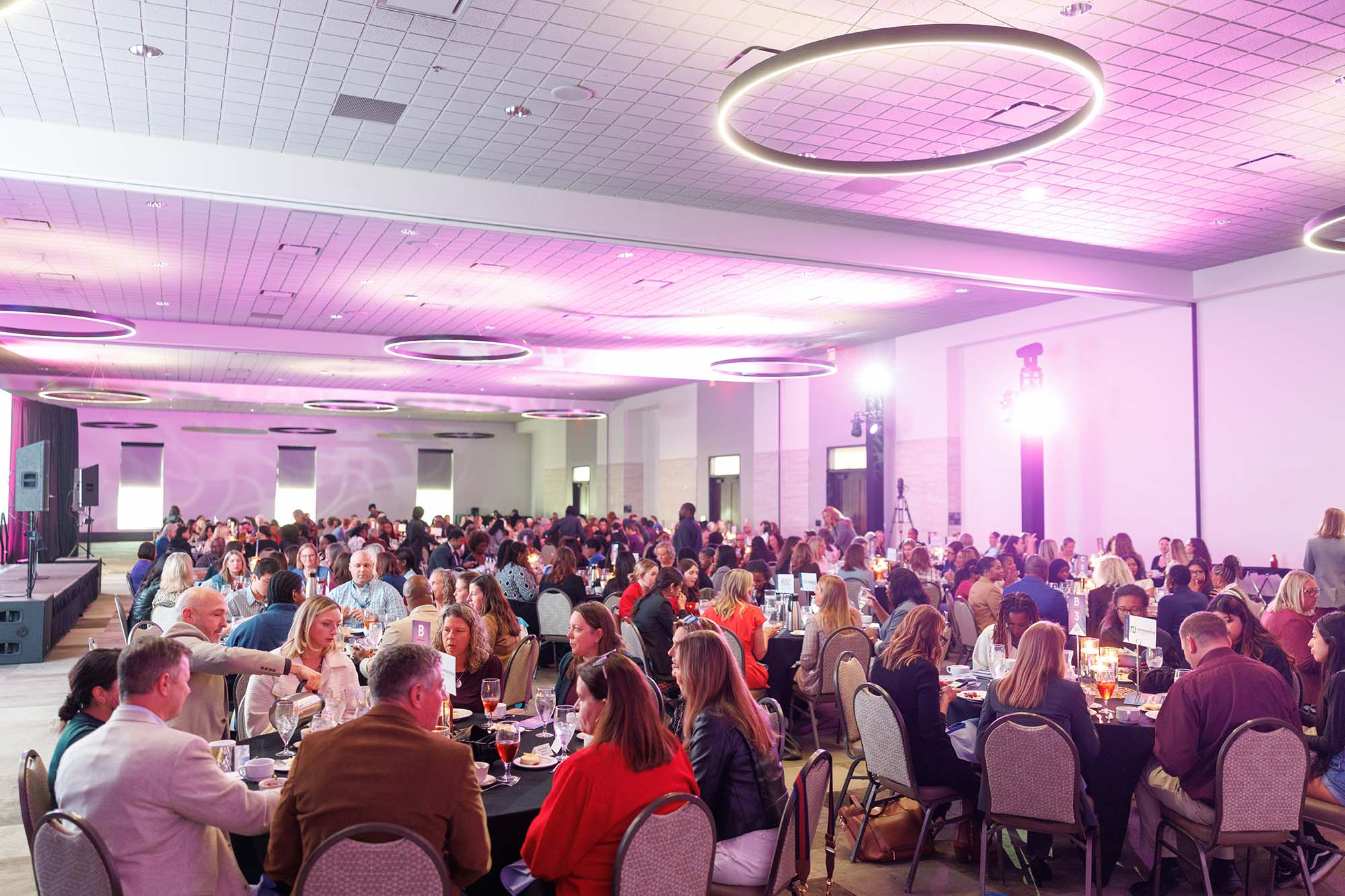 0035-2025-STEMMy-Awards